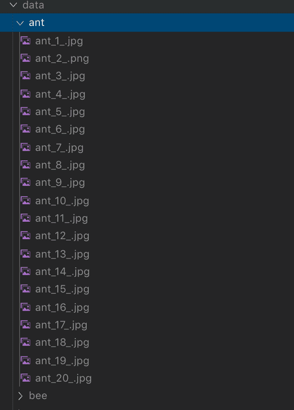 downloaded files downloaded files
